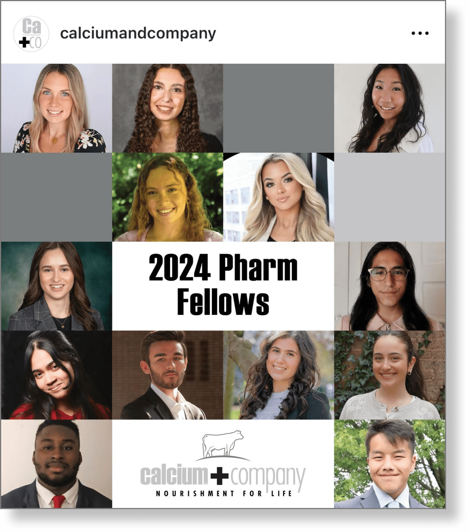 2024 Pharm Fellow internship class LinkedIn post